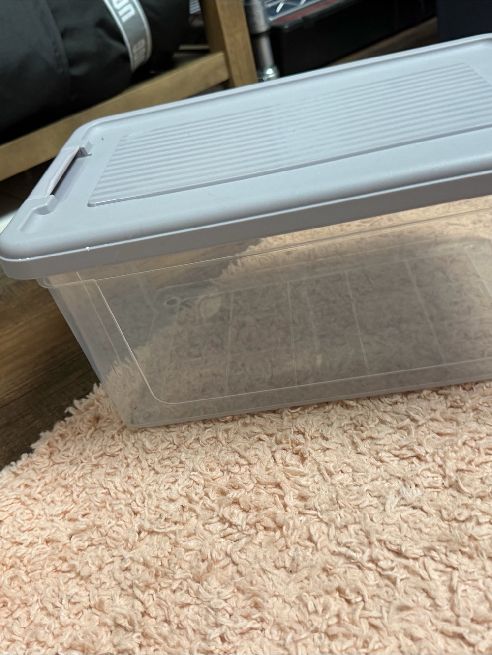 Clear Plastic Storage Bin with Light Gray Lid